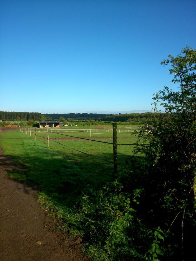 Clumber Lane End Farm Bed & Breakfast Worksop Eksteriør bilde