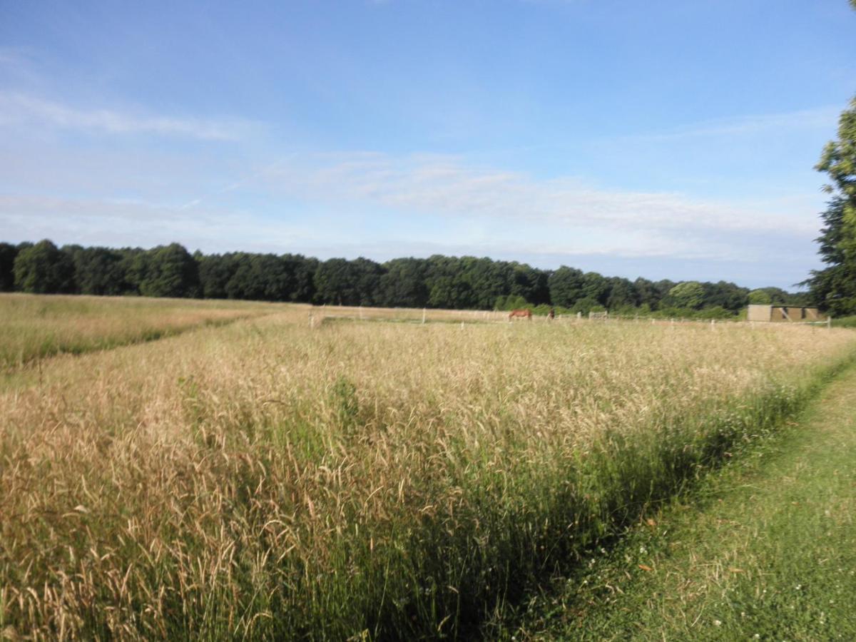 Clumber Lane End Farm Bed & Breakfast Worksop Eksteriør bilde