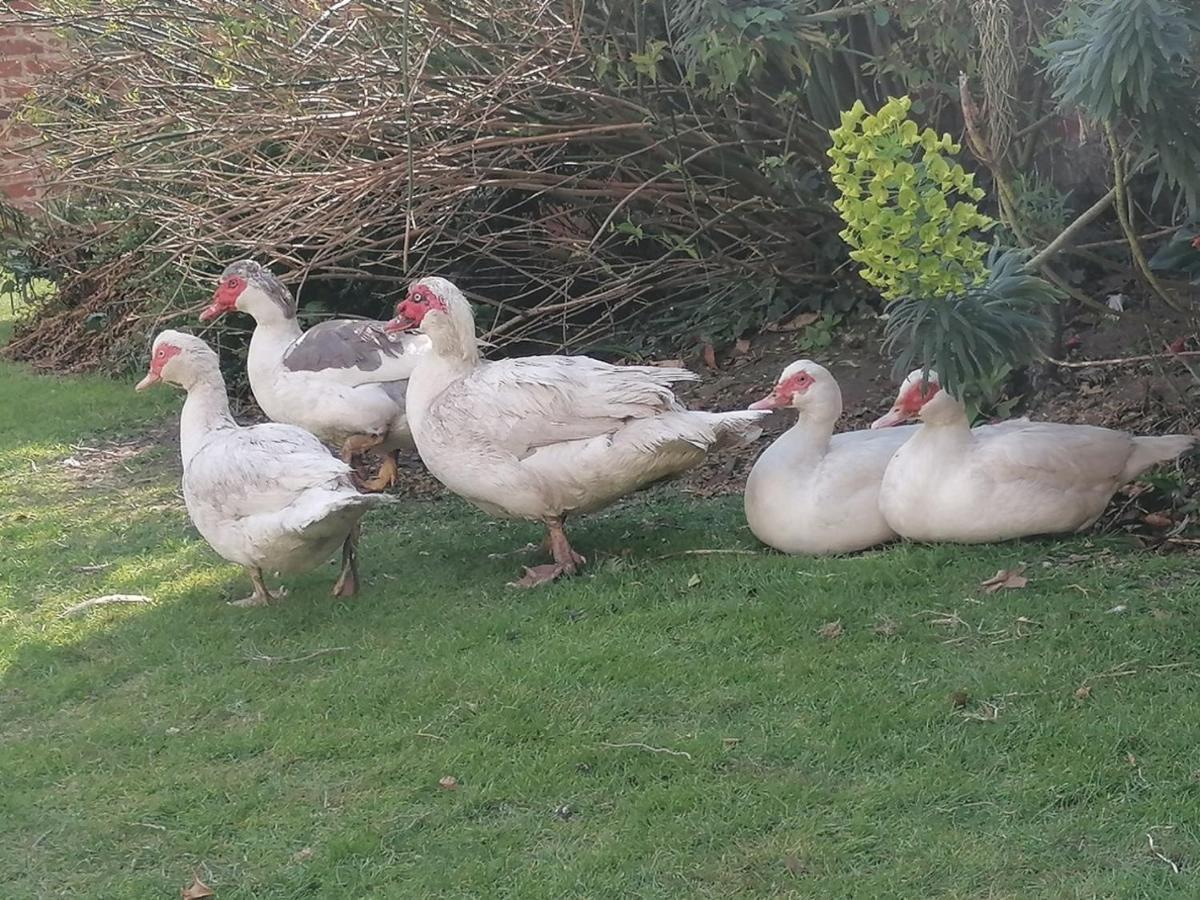 Clumber Lane End Farm Bed & Breakfast Worksop Eksteriør bilde